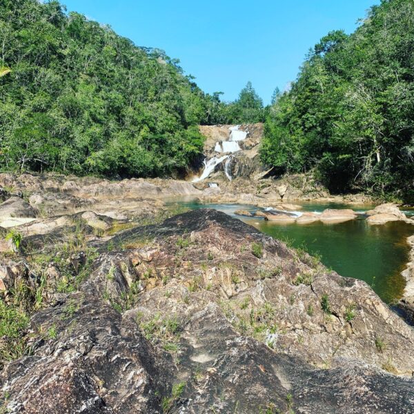 Noj Kaax Meen ELIJIO PANTI NATIONAL PARK